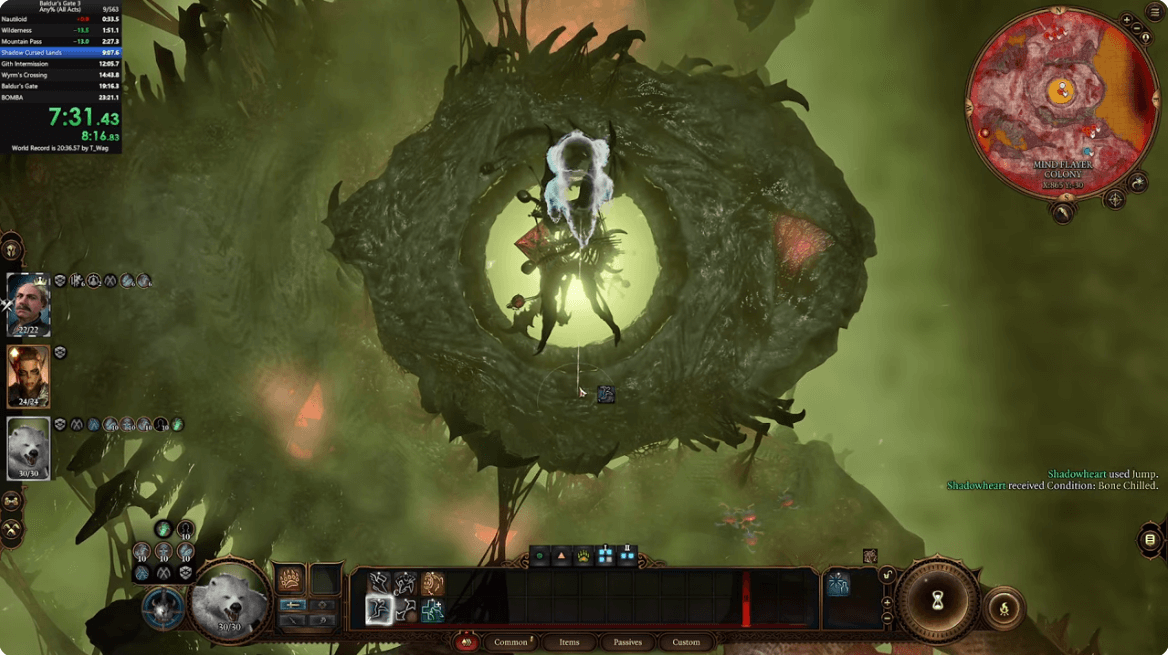 Bẻ cong giới hạn, tốc độ vượt ải toàn bộ Baldur's Gate 3 dưới 20 phút nhờ… một chú gấu vô hình khổng lồ!