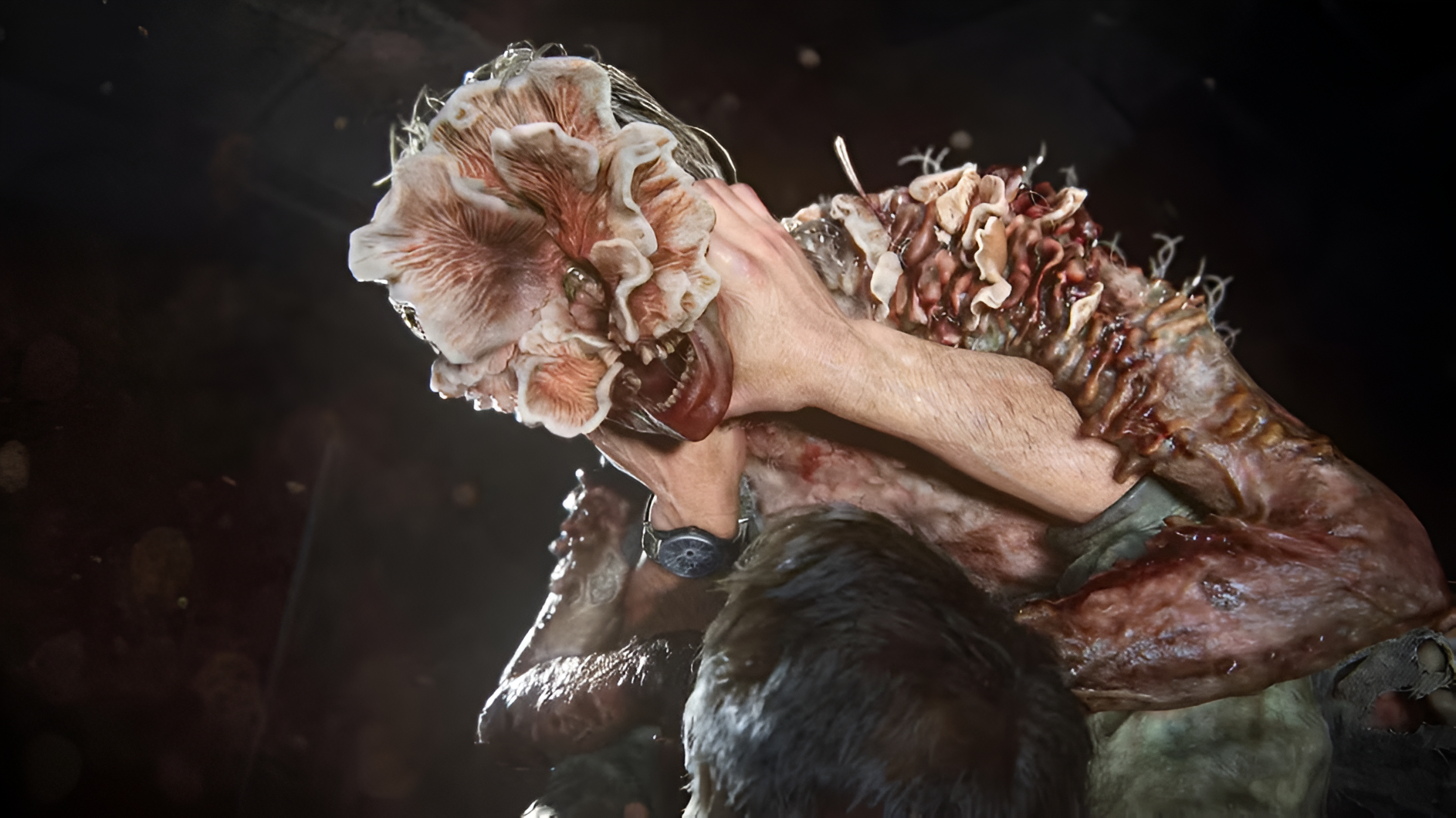 Last of us