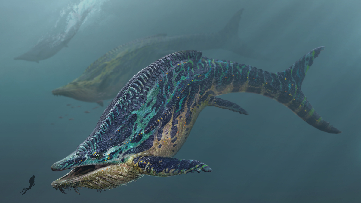 Bản đồ mới 'The Center' cho Ark: Survival Ascended ra mắt, người chơi được trải nghiệm miễn phí cuối tuần - Gamelade