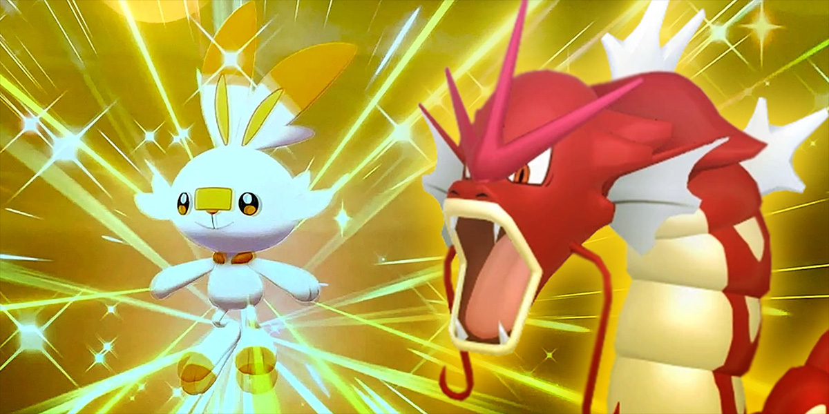 Một fan may mắn chỉ mất 24 giờ để săn được Pokemon Shiny cực hiếm để rồi phải vứt bỏ đi