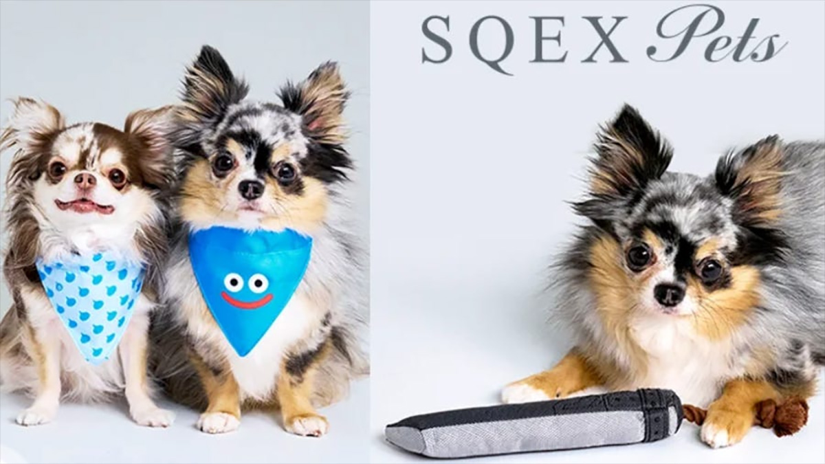 Thú cưng của bạn có thể cosplay Cloud nhờ cửa hàng vật dụng mới của Square Enix