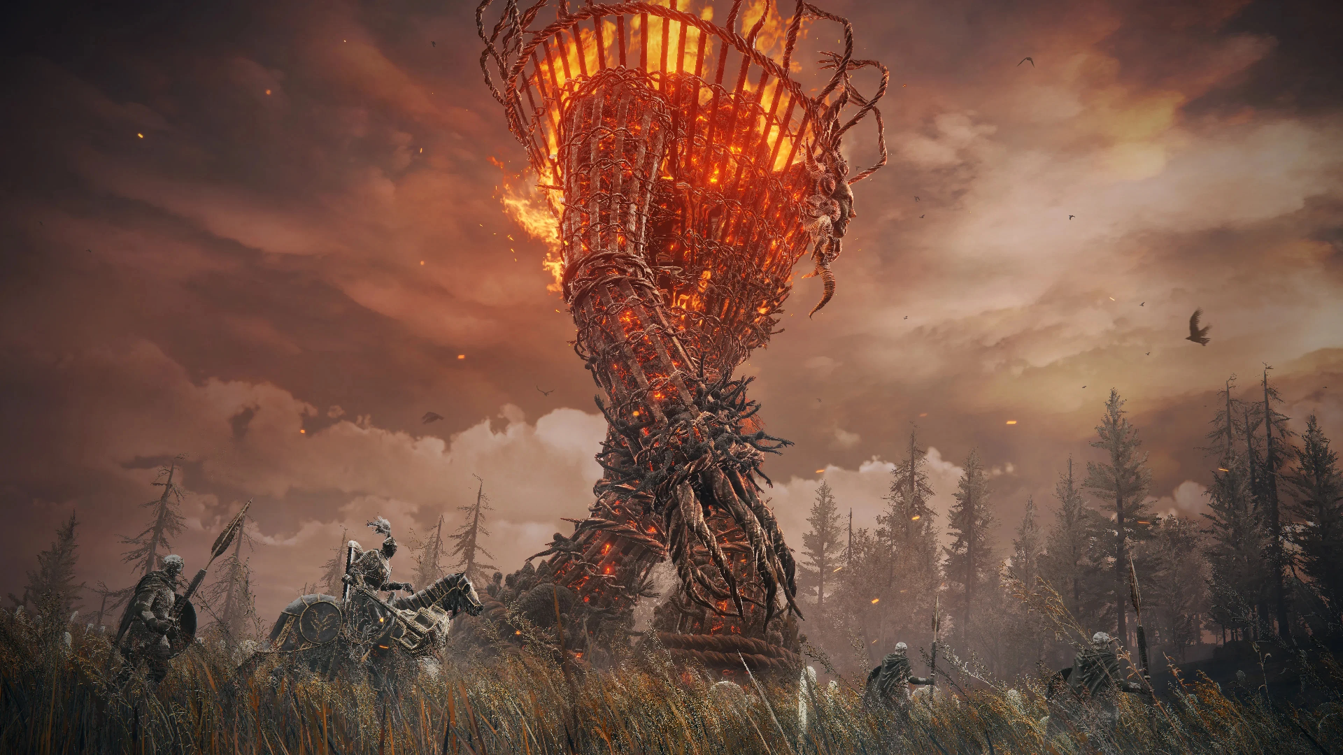 DLC Shadow of the Erdtree của Elden Ring bị đánh giá tiêu cực trên Steam