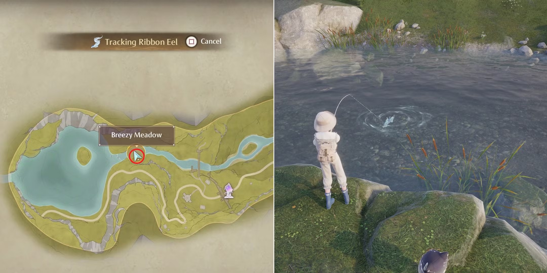 Bí kíp sở hữu Cá Chình Ruy Băng trong Infinity Nikki - Gamelade