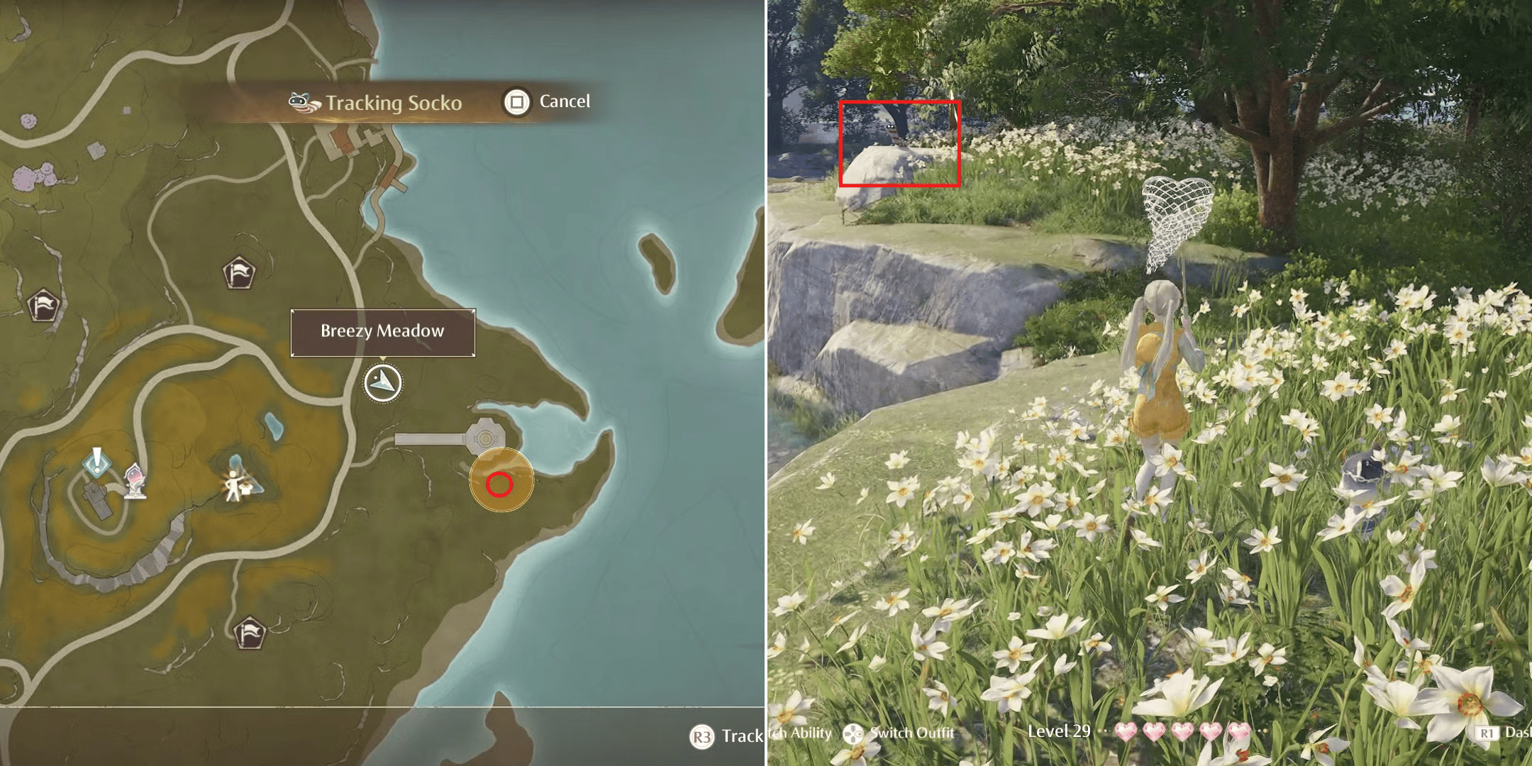Socko: "Thú cưng" quý hiếm ai cũng muốn có trong Infinity Nikki - Gamelade