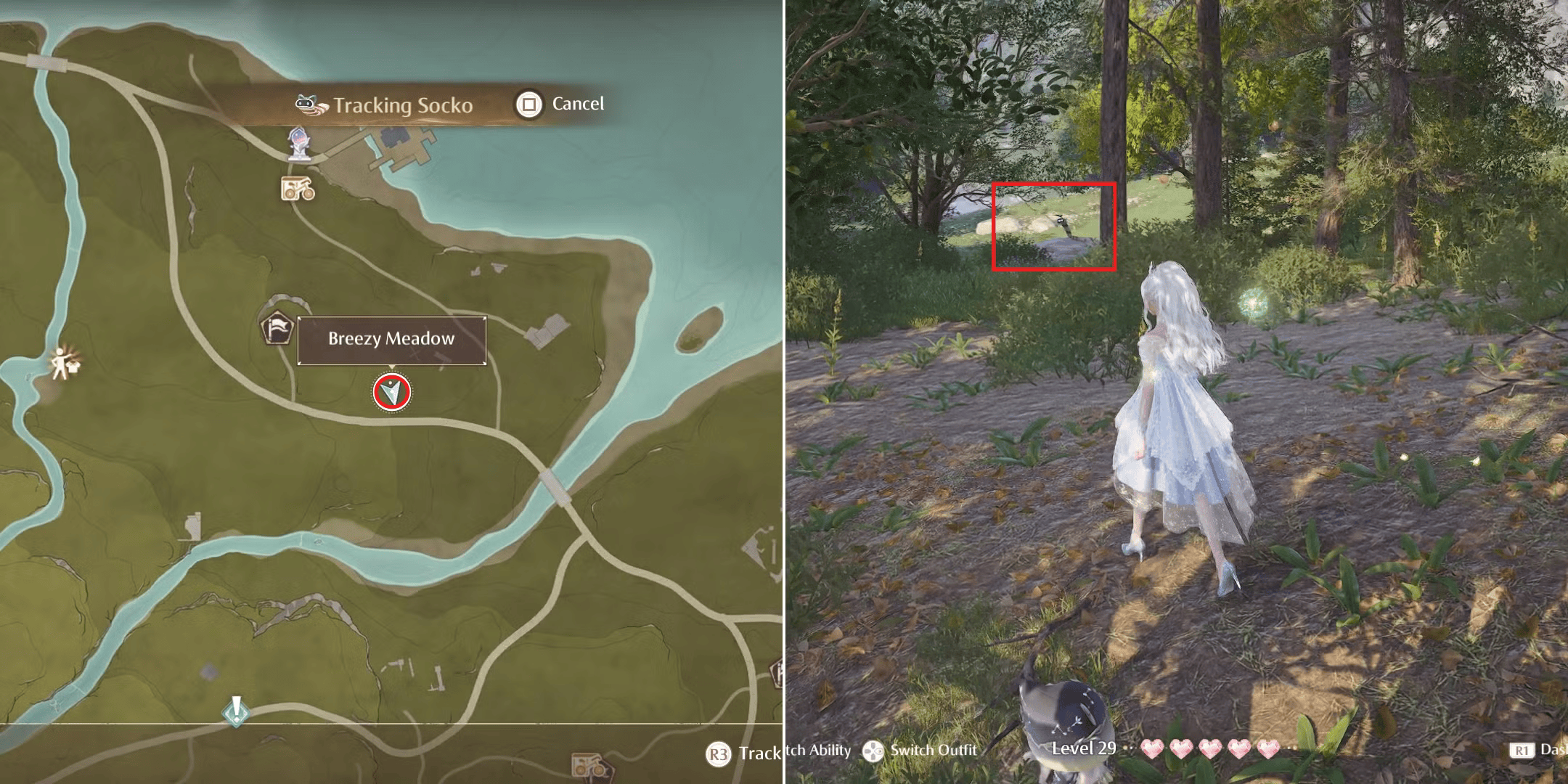 Socko: "Thú cưng" quý hiếm ai cũng muốn có trong Infinity Nikki - Gamelade