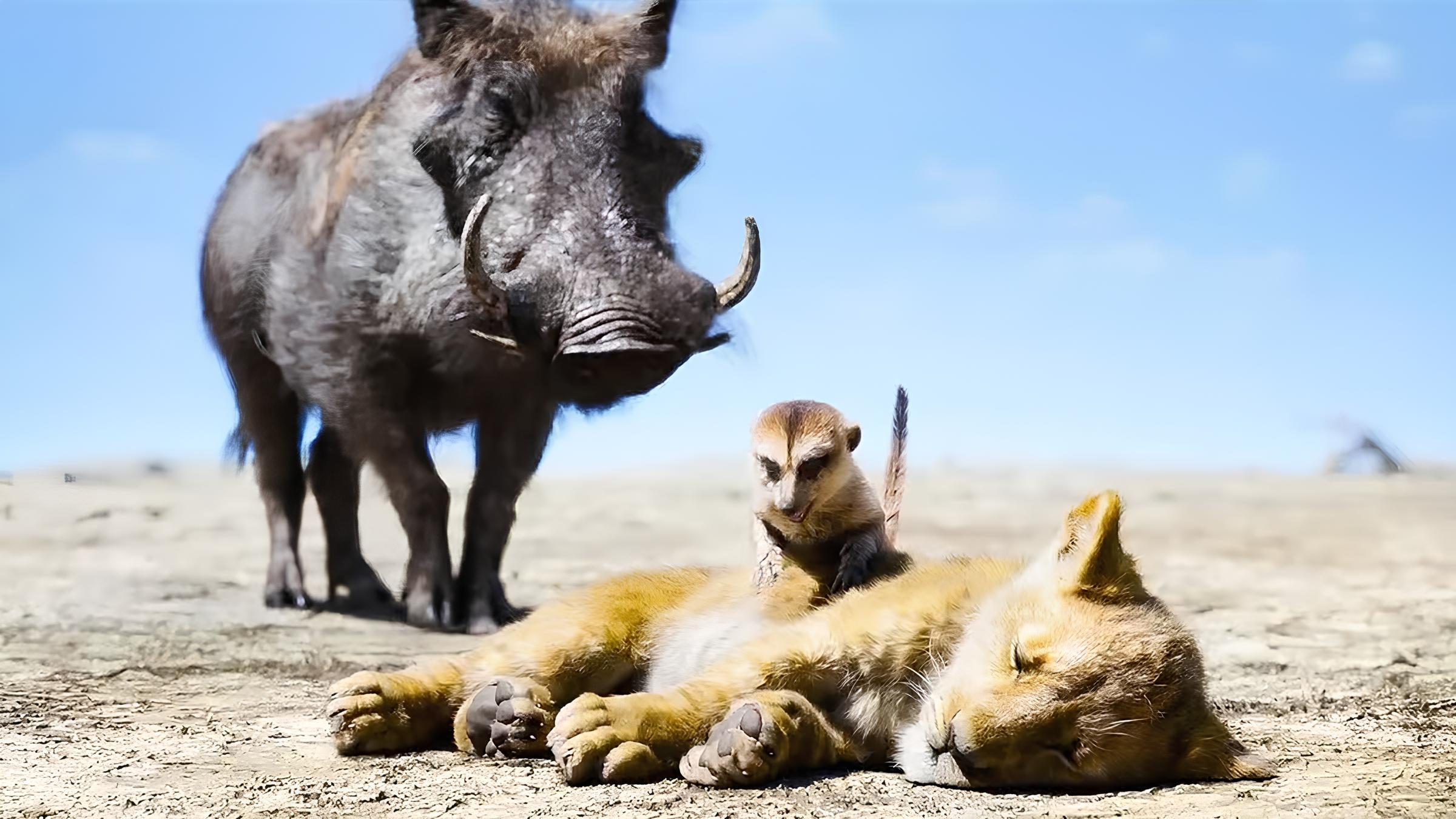 Timon và Pumbaa trở lại: Ngôi sao "Mufasa" "nhá hàng" dự án phim mới đầy bất ngờ - Gamelade