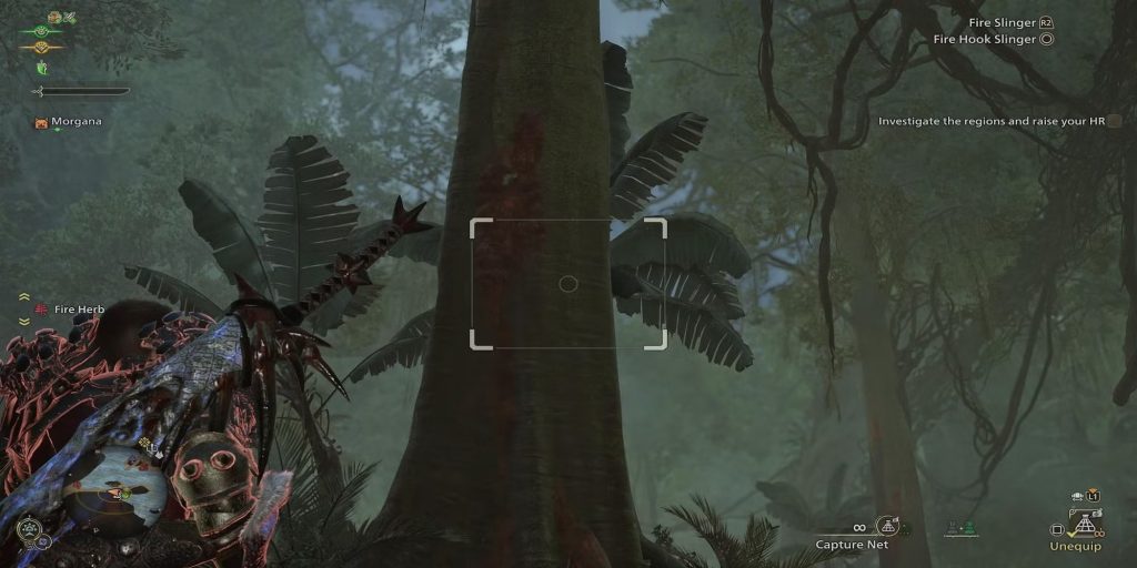 Cách bắt Bọ Hercules Vàng trong Monster Hunter Wilds - Gamelade