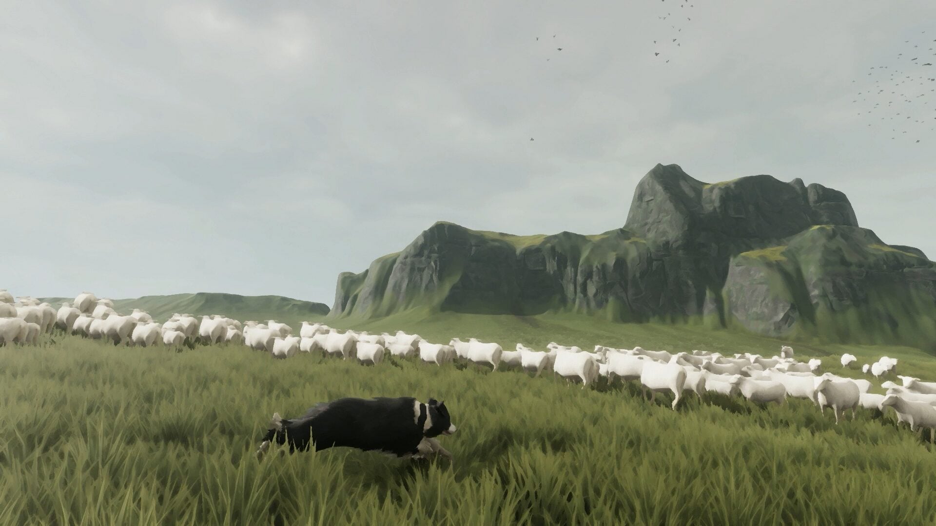 The free shepherd - game phiêu lưu không khí hóa thân thành chó chăn cừu độc đáo được công bố - gamelade