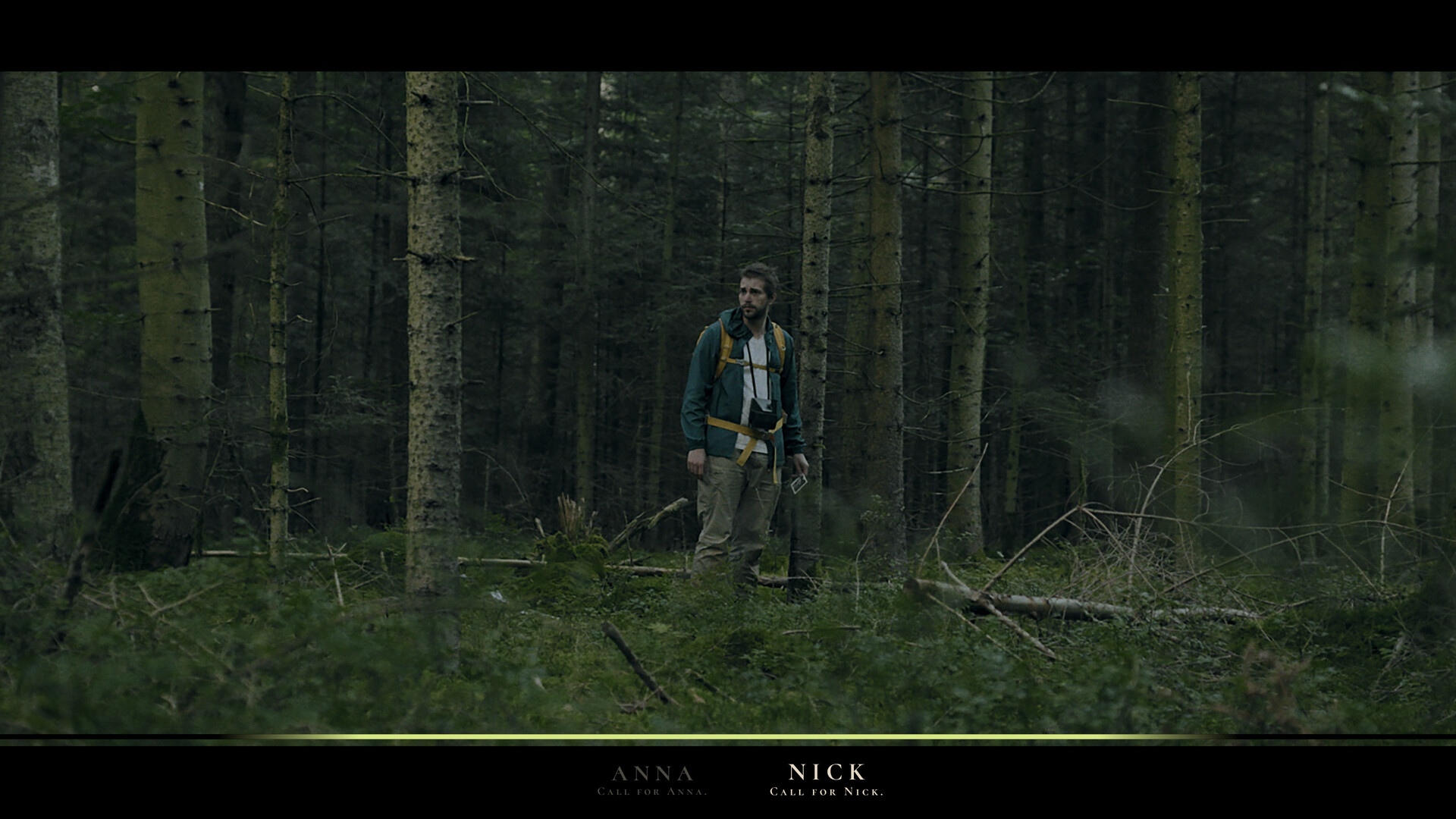 Heart of the Forest hé lộ trải nghiệm kinh dị FMV u ám giữa rừng Đen nước Đức - gamelade